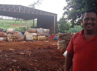 Trabalho conjunto gera renda para catadores em Uberlândia (MG)