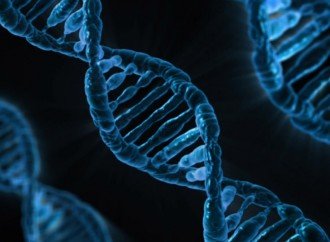 Herança genética x hábitos de vida